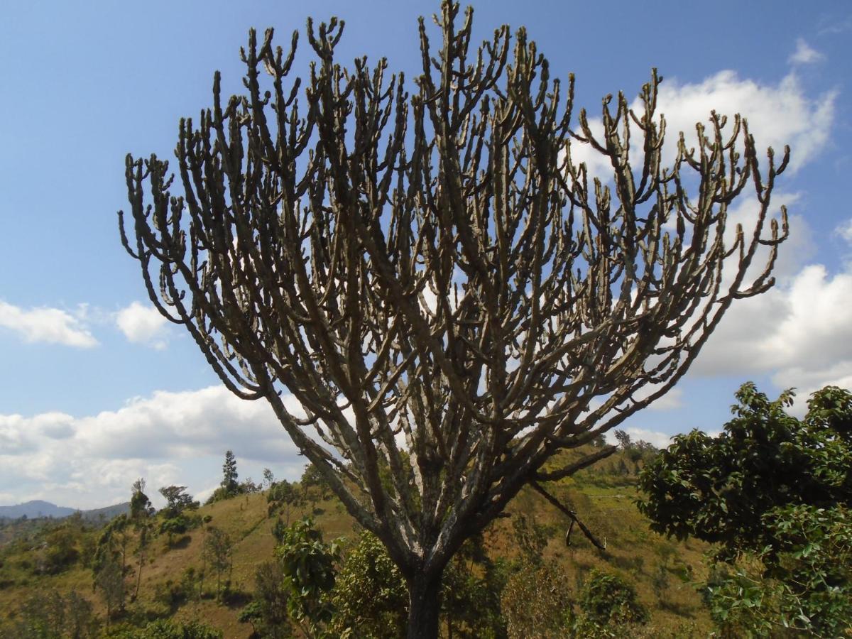 Themi Valley Eco And Cultural Tourism Homestay Arusha Esterno foto