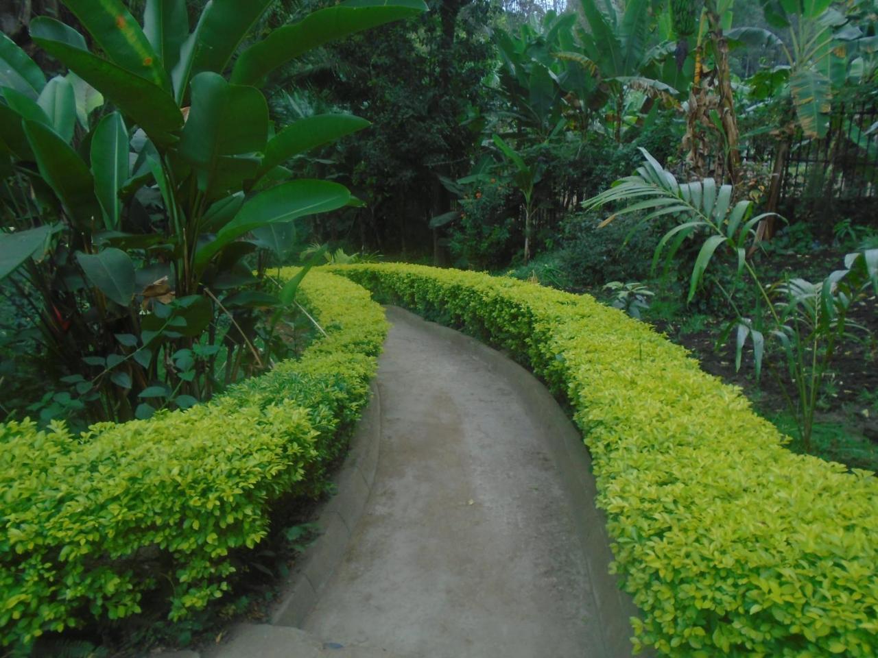 Themi Valley Eco And Cultural Tourism Homestay Arusha Esterno foto