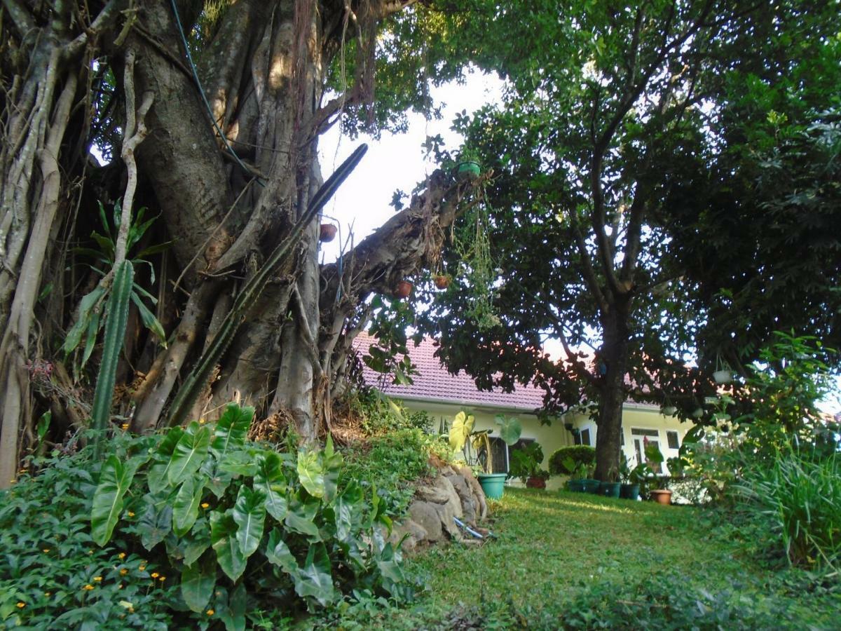 Themi Valley Eco And Cultural Tourism Homestay Arusha Esterno foto