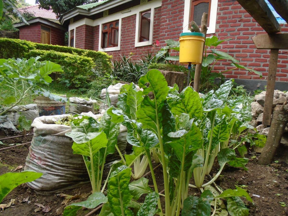Themi Valley Eco And Cultural Tourism Homestay Arusha Esterno foto