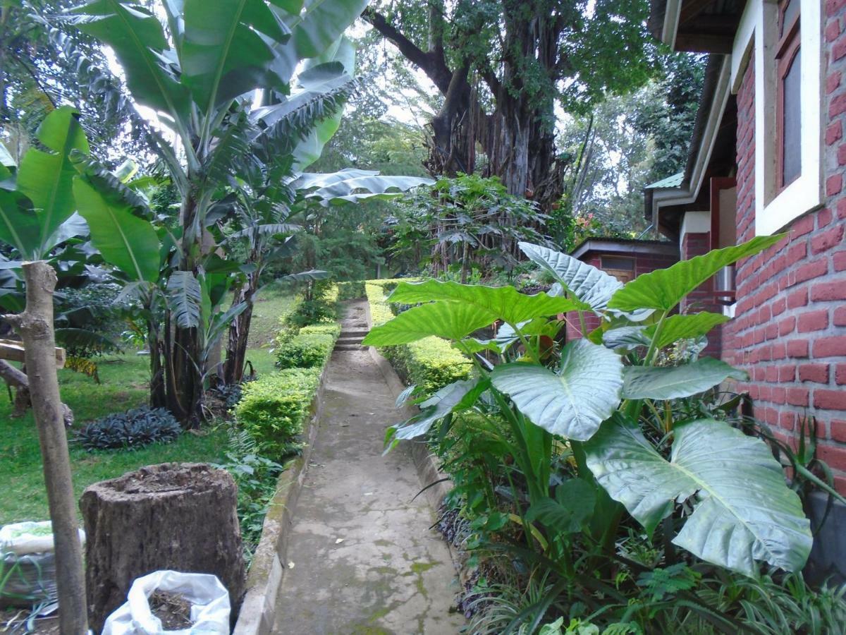 Themi Valley Eco And Cultural Tourism Homestay Arusha Esterno foto
